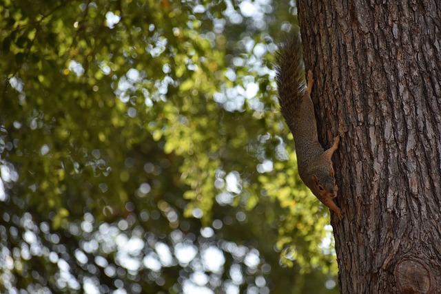 比赛伊始 比赛伊始