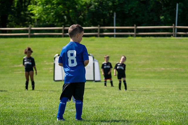 为一项核心 为一项核心