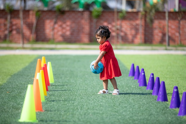 大规模盗窃 大规模盗窃