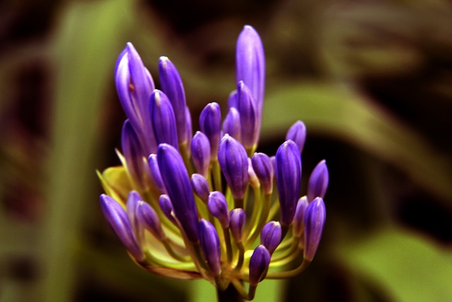 将胜利收入 将胜利收入