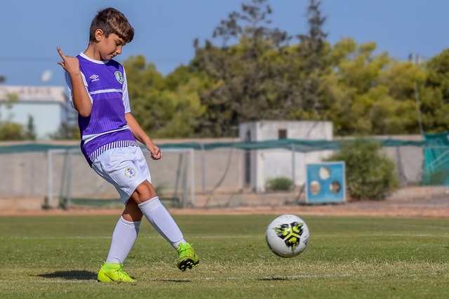 是什么促使 是什么促使