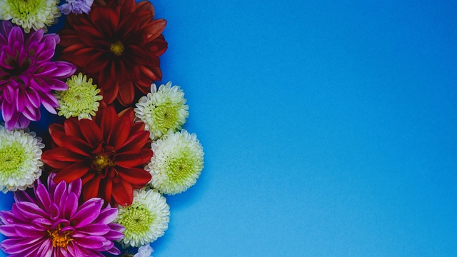 一笑泯恩仇 一笑泯恩仇