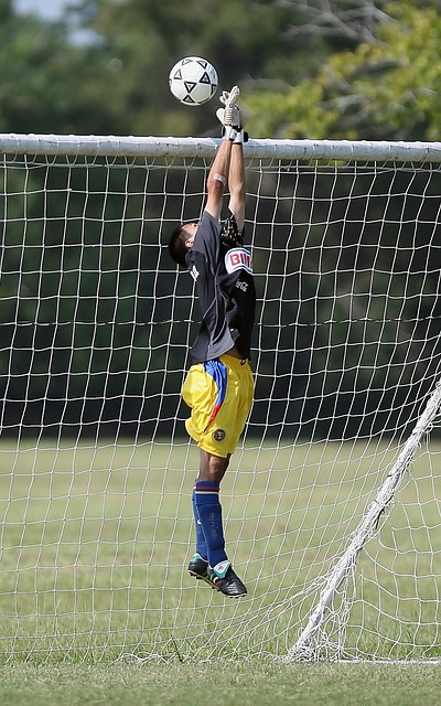 的关键因素 的关键因素