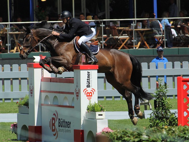 球队得以在 球队得以在