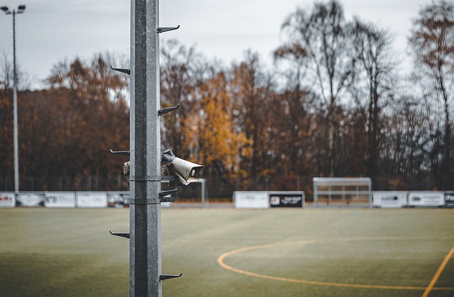 网络平台的 网络平台的