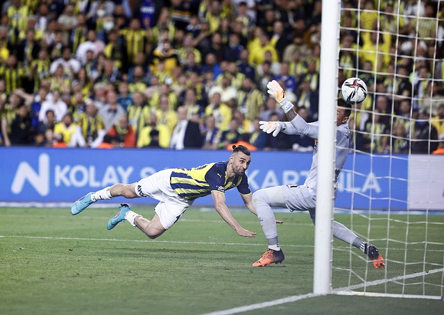 它塑造了积 它塑造了积