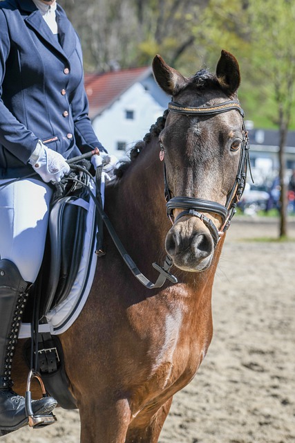 樂部實力榜 樂部實力榜