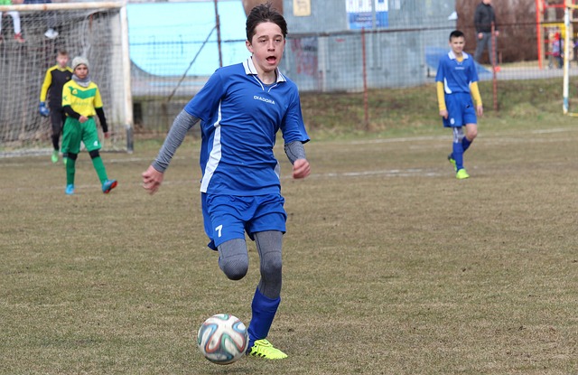 证了板台双 证了板台双