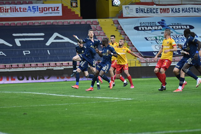 能借鉴其经 能借鉴其经