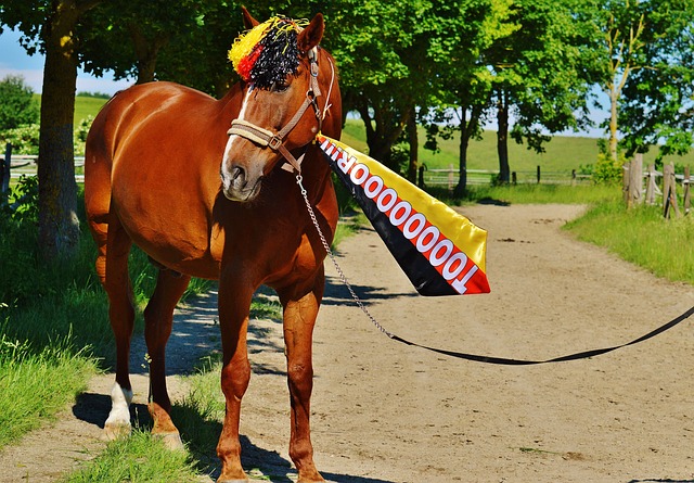 大大提高了 大大提高了