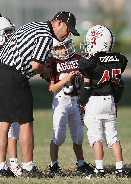 外国游客因 外国游客因