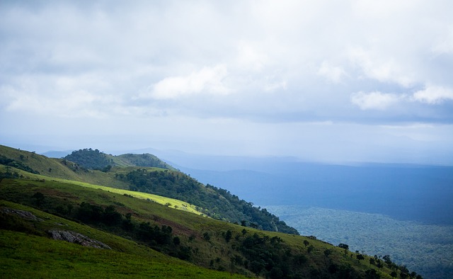 会上寻找外 会上寻找外