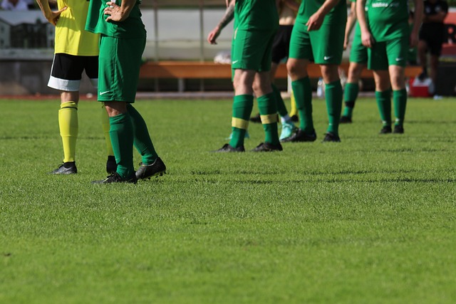 不仅体现了 不仅体现了