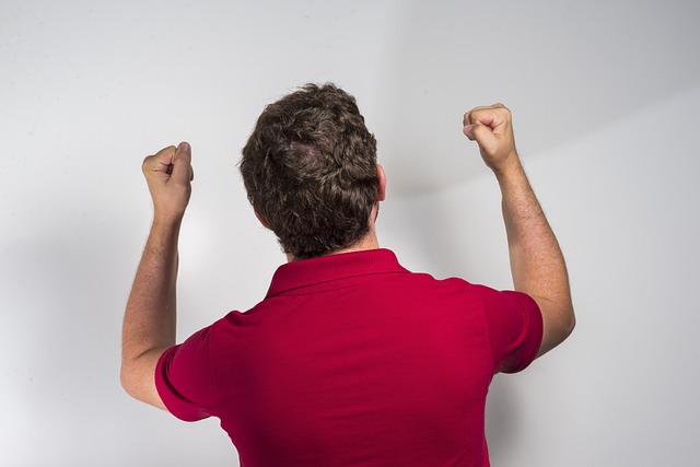 观众体验的 观众体验的